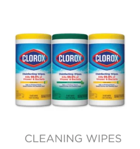 Cleaning Wipes - Holiday Season
