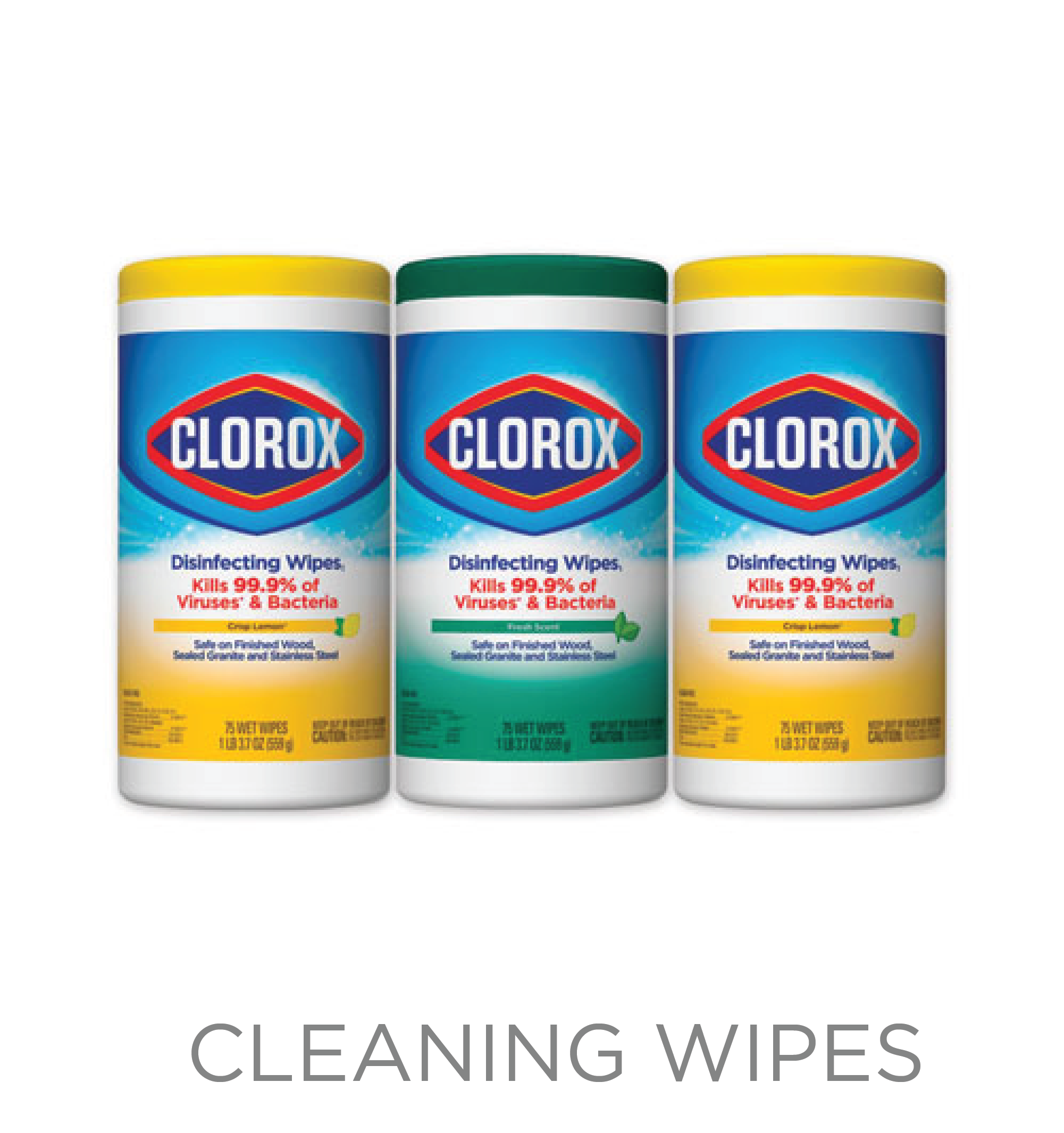 Cleaning Wipes - Holiday Season