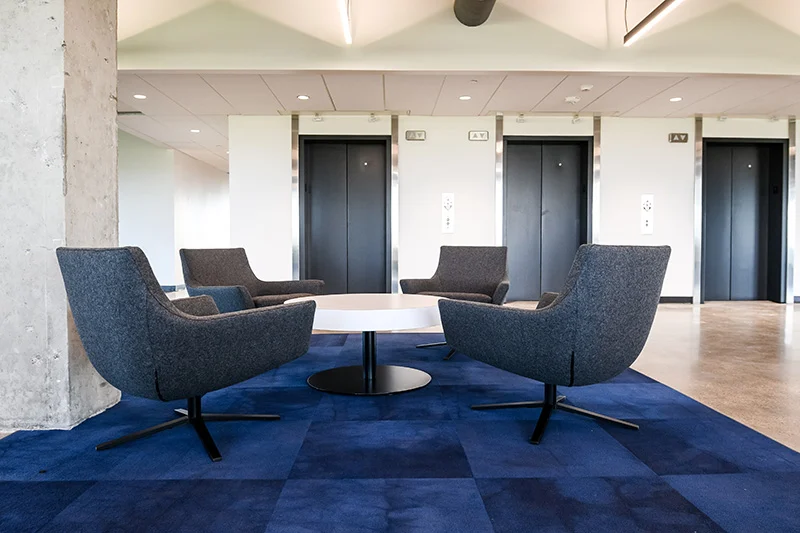 The E Lounge Chairs Lounge Chairs