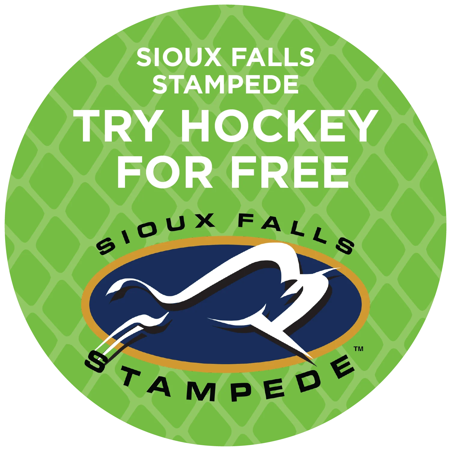 SF Stampede Hockey Camp
