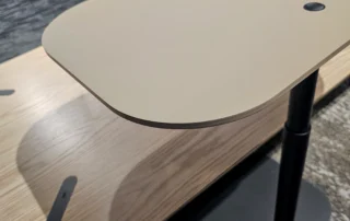 NeoconDD-63