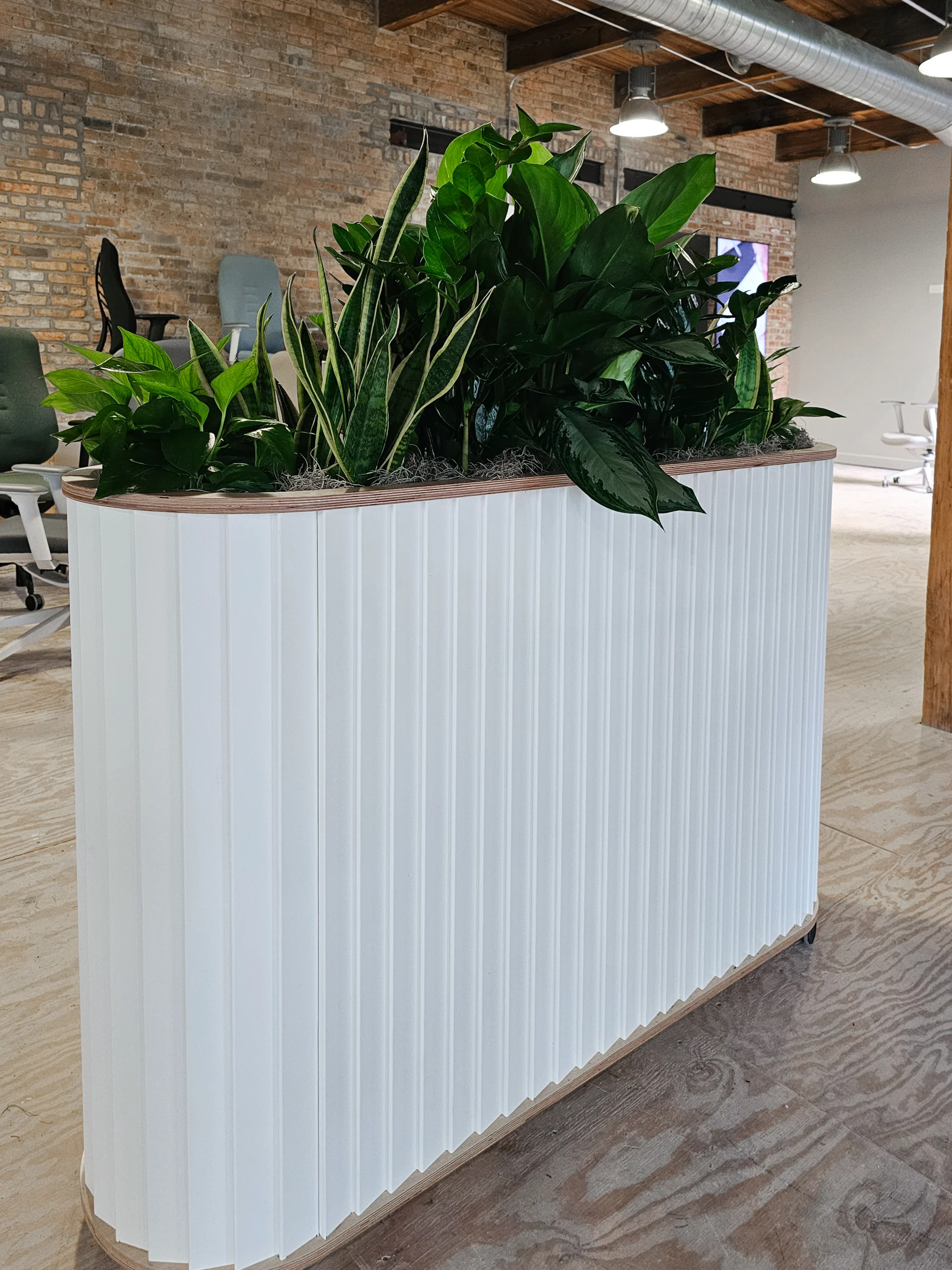 NeoconDD-8